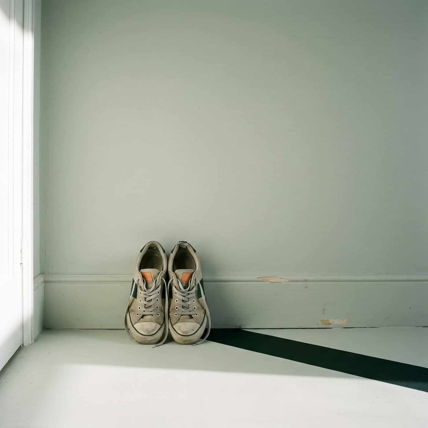 Worn trainers by a door.